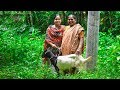 Village Cooking: Full Goat/Mutton Curry Cooking Recipe for Kids by Village Food Life