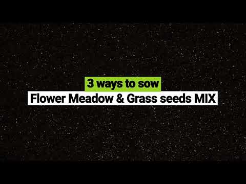 Video: Tapaa Meadow Flowers
