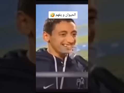 الحيوان و يفهم         