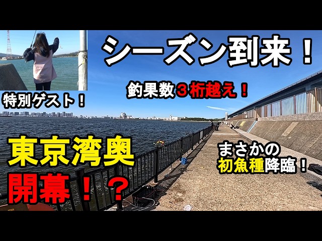 【東京都&千葉県某所】東京湾奥海釣りシーズン開幕！GWは爆釣確定！？春の時期に、関東地方の東京湾に面している釣り場で、九州の釣り系YouTuberのわた釣りさんと釣りしてみたら！【2026年4月下旬】