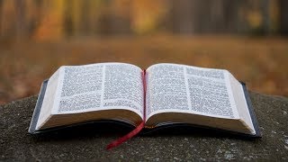 Sunday Morning Bible Study / Steve Davis / 12-14-2025