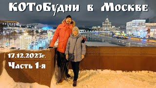 Москва, снег и джаз...  - КОТоБудни, 17.12.2023 г.  |  Life in Russia