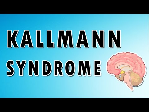 Kallmanns syndrom - karyotype, symptomer og diagnose