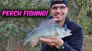Perch Fishing | IT'S NOT GOING TO PLAN! | The Perch Search