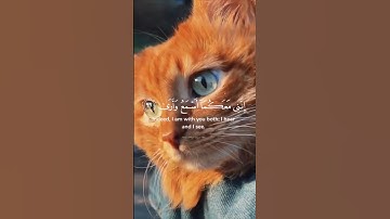 أكتب شيء تؤجر عليه 😴🖤 القارئ محمد ديبيروف #quran