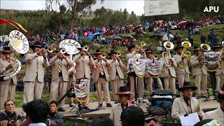 BANDA TUPAC AMARU/MIX HUAYNOS DEL CENTRO(AMANTES PERFECTOS-DECÍAS QUE ME QUERÍAS) screenshot 4