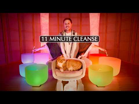 10 Minute Complete **Cranial Nerve** Chakra RESET