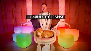 10 Minute Complete **Cranial Nerve** Chakra RESET