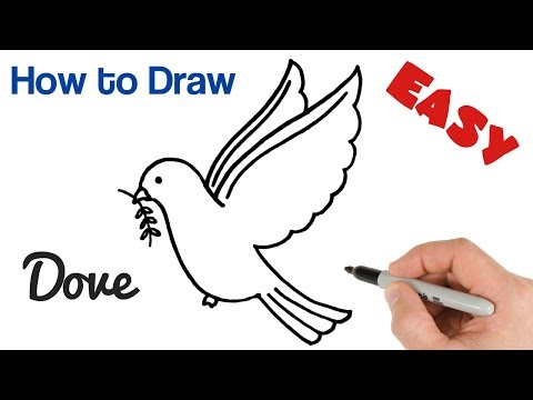 Video: How beautiful to draw a poppy