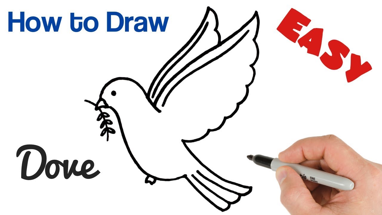 How to Draw a Dove with Olive Branch Pigeon Drawing Easy