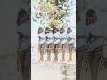 #youtube #sanjaymauryacomedian e​#AvadhiDJRemix​ #SanjayYaduvanshiSong
