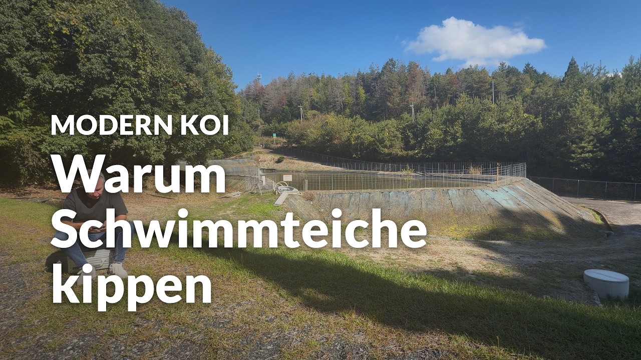 Schwimmteich ohne Technik: Warum kippen Naturpools? | Modern Koi Blog #8416