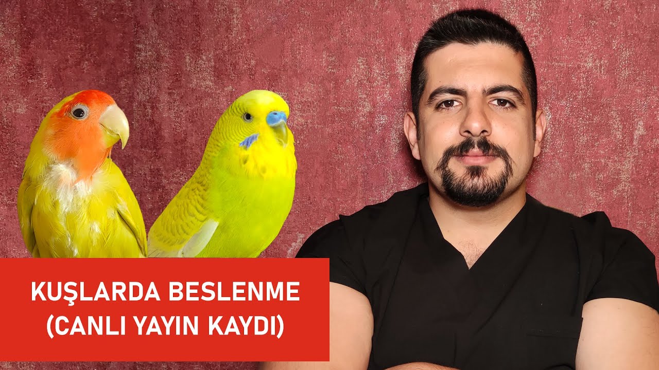 Kuşlarda Beslenme