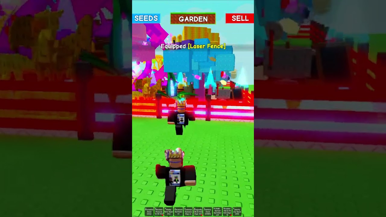 Laser fence showcase 