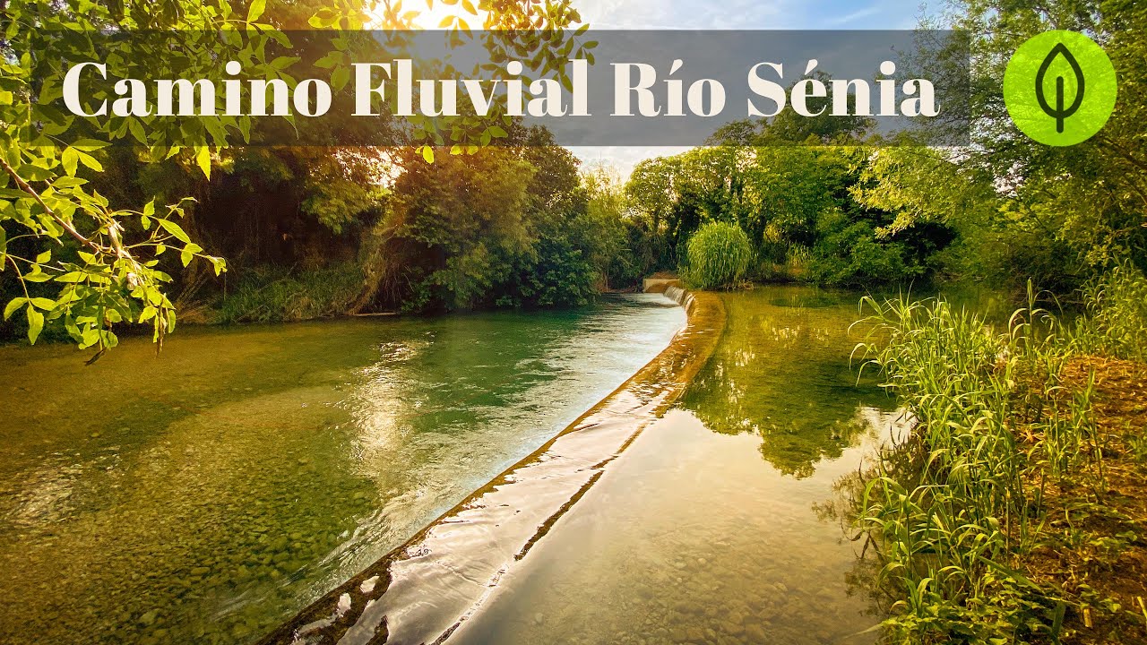 Paseando por el CAMINO FLUVIAL del RÍO SÉNIA en LA SÉNIA