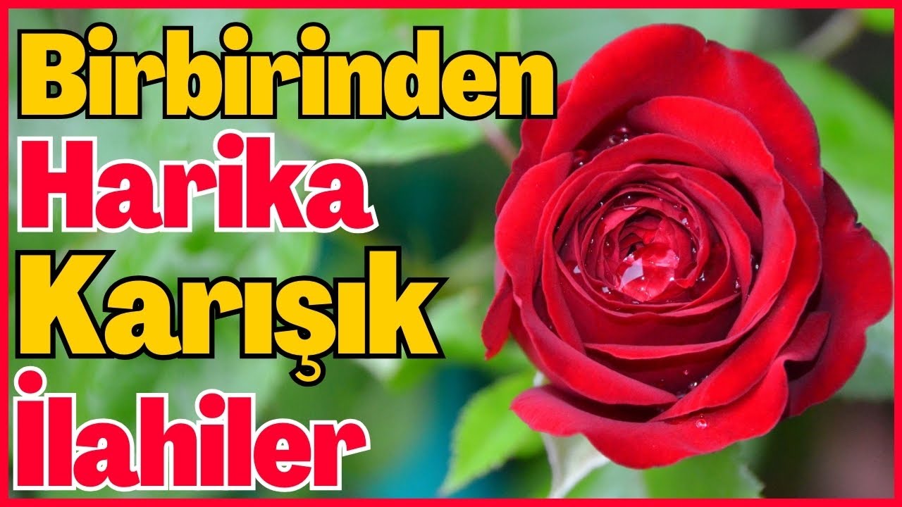 Yürekleri Isıtacak Seçme Karışık Harika İlahiler