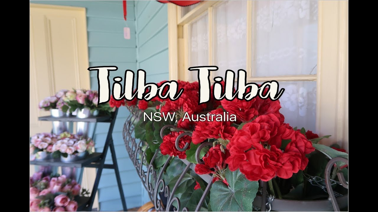 Tilba Tilba Australia Travel Diary