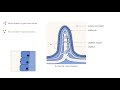 1st2s  absorption des nutriments par les entrocytes