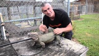 Tom Crutchfield's Farm - CrittaCam