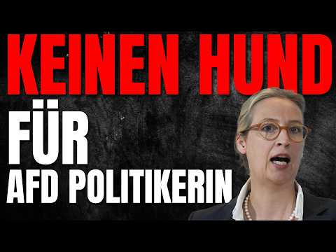 AfD-Politikerin will Hündin adoptieren – Tierschutzverein sagt wegen Parteizugehörigkeit ab