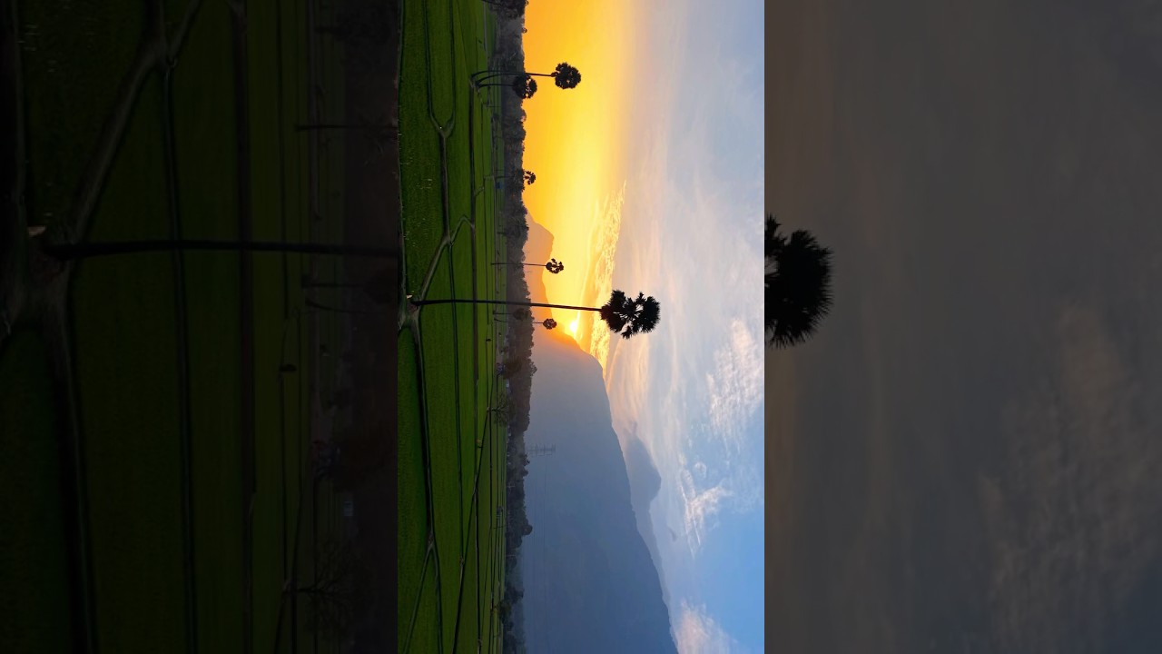 Beauty of kollengode palakkad 