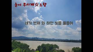 눈이 부시게☆소향/조선정신과 의사 유세풍OST