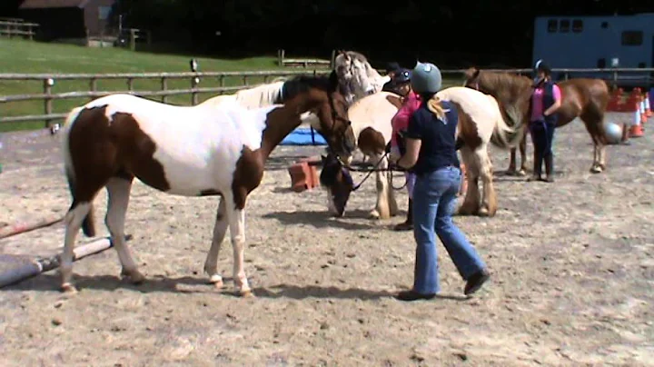 Sheila Reed with Hannah's horse Samba