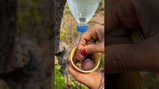 Survival Skills: Mom Shows How to Make 99% Good Soap and Water #camping #Survival #ytshorts #skills