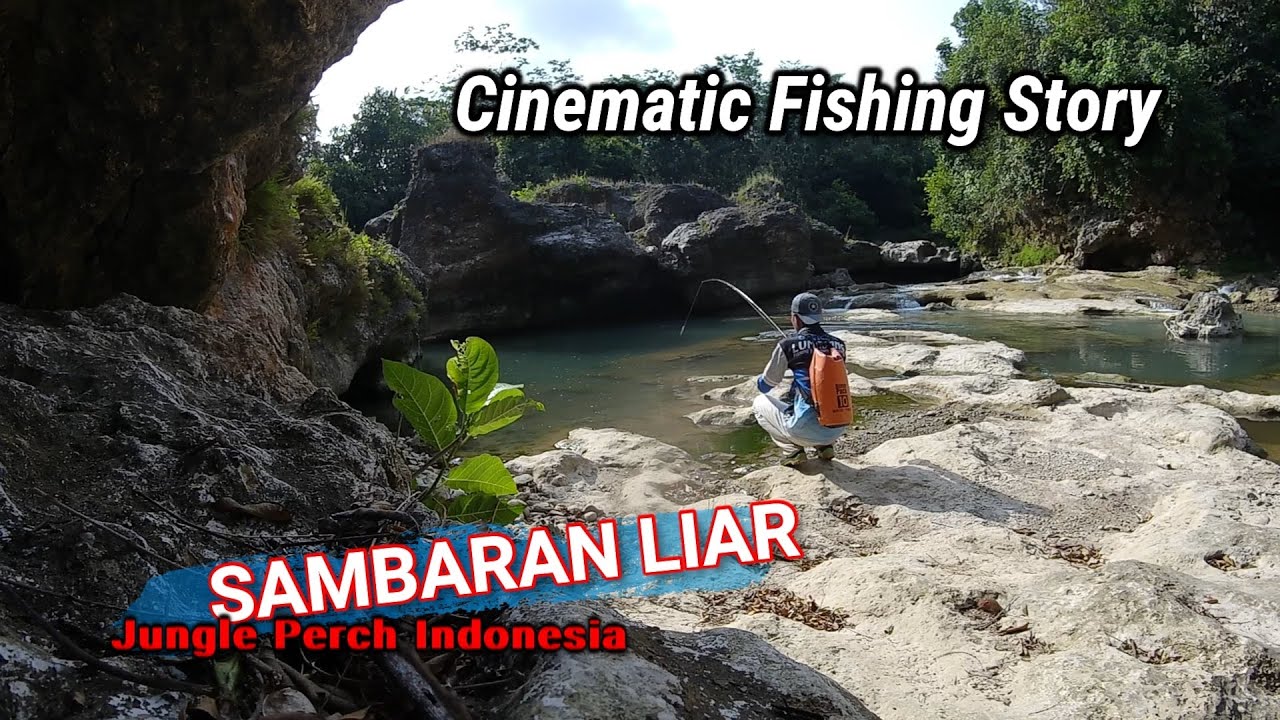 ketagihan sambaran predator langka 