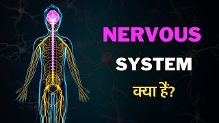 What is Nervous System? – [Hindi] – Quick Support