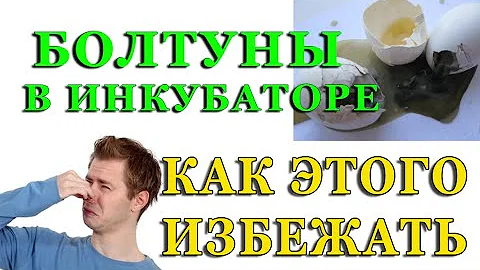 КАК ОПРЕДЕЛИТЬ ЖИВ ЛИ ЗАРОДЫШ В ЯЙЦЕ. ПОЧЕМУ В ИНКУБАТОРЕ ИСПОРТИЛОСЬ ЯЙЦО И ЗАВОНЯЛО