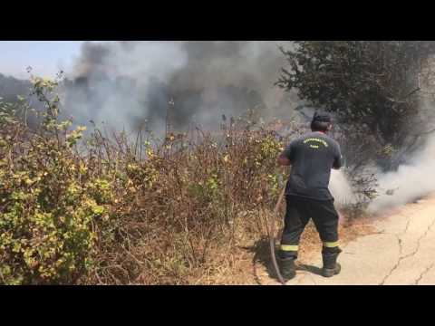 ΠΡΕΒΕΖΑ : Μεγάλη Φωτιά στη Σκαμνούλα
