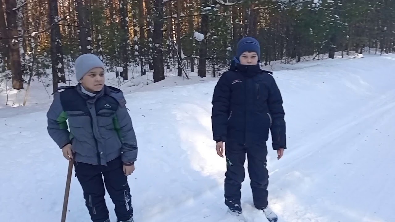 Прогулка по зимнему лесу. - YouTube