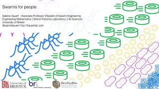 Mathematics in the Digital Age - Swarm Engineering Across Scales