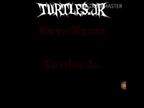 Turtles.jr kuya ngora lirik