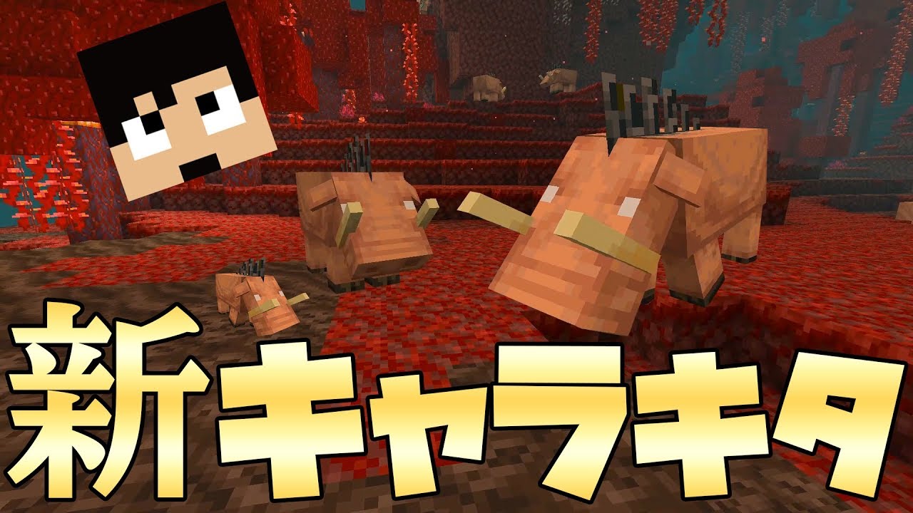 急上昇 カズクラ特別編 ネザーで新キャラキタ カズゲームズ Gaming Kazu Playgametrend 急上昇 カズクラ特別編 ネザーで新キャラキタ カズゲームズ Gaming Kazu Playgametrend
