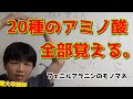 【高校化学】アミノ酸の覚え方