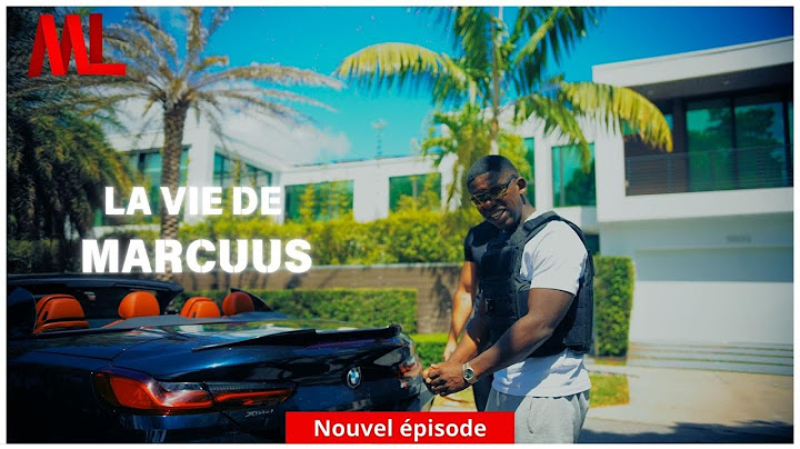 24H DANS LA VIE D’UN AMERICAIN (Miami, Gun, BMW, Bref .. c’est GTA VI )