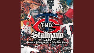TGANG (T-MIX)