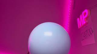 Balloon episode 🎈124799