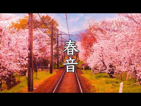 Playlist for Spring – Relaxing Piano Music (Sleep/Study/Focus)