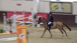 Gold Li̇g 3. Ayak 130 Cm İask Kupasi Dördüncüsü Oğuz Dalmiş - Don Carlos