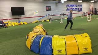 UKI Home Trial 60 40, 9th-20th January 2025, Speedstakes 2-Tesla screenshot 2