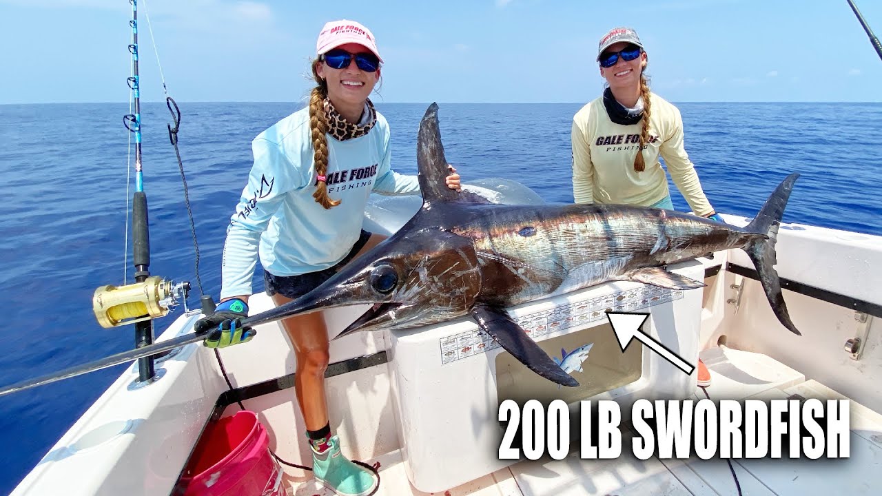 200 LB SWORDFISH 😱⚔️ GALE FORCE BOAT CATCHES FIRST SWORDFISH Gale