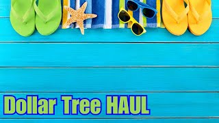 Unbelievable Finds At Dollar Tree! Check Out My Haul
