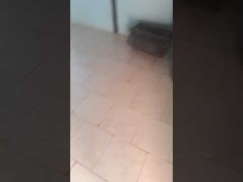 eeeh vuelto