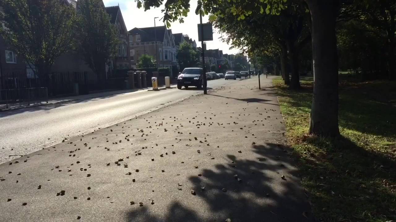 Conkers falling from a horse chestnut tree. Oct 2016 - YouTube