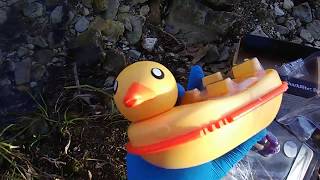 sharkbite ducky boat toy