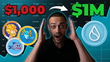 The Best SUI Meme Coins To Buy For Huge Gains! (10x-100x)