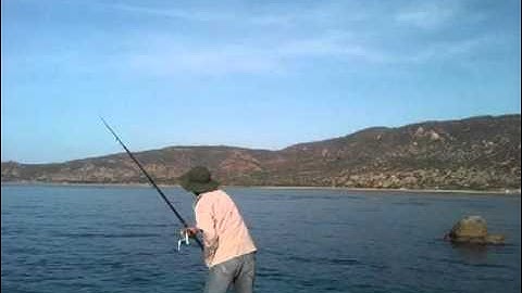 Đi câu cá chân đèo Thái An. Vĩnh Hy Ninh Thuận